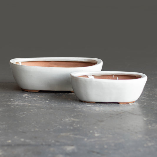 Terracotta Glazed Alta Liscia White