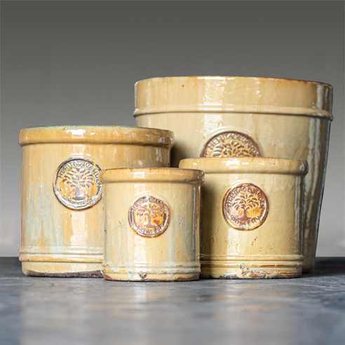 Terracotta Palma